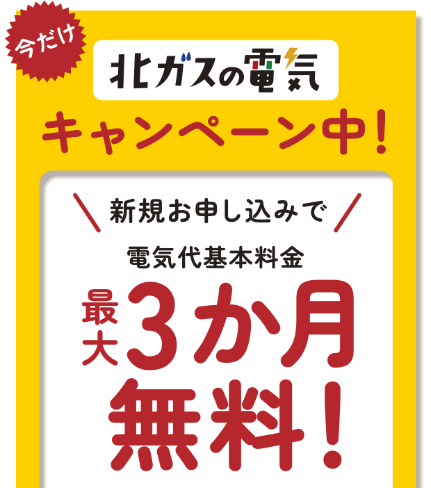 キャンペーンについて