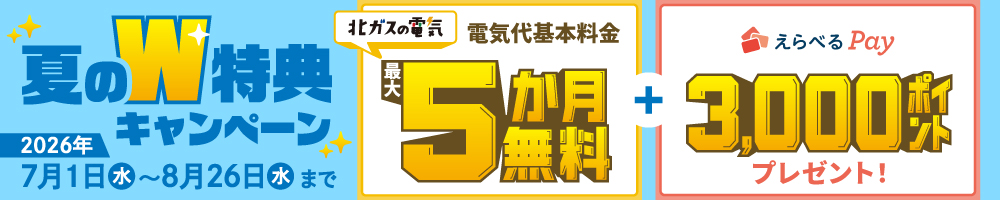 夏のW特典キャンペーン　電気代基本料金5か月無料プラスえらべるPay3000ポイントプレゼント！
