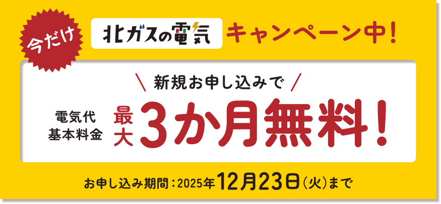 キャンペーンについて